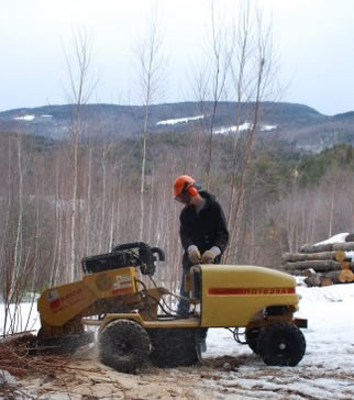 Stump Grinding